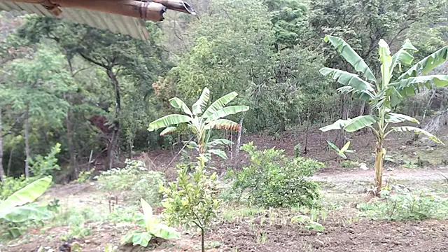 andreu mature online show from October 7, 2025, 1:08 pm