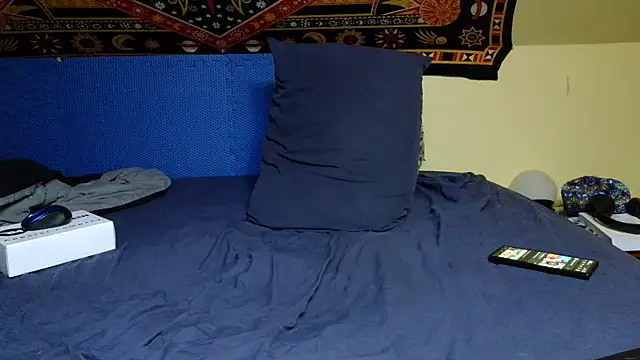 Spacecase2021 online show from January 7, 2025, 8:56 am