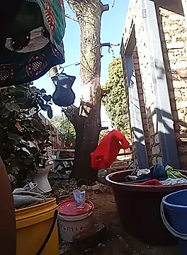 amarrabrown2024 online show from September 19, 2025, 6:04 am