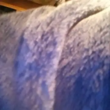 amarrabrown2024 online show from October 15, 2025, 6:46 am