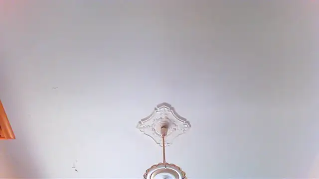 wolfman38 online show from April 28, 2026, 8:41 am