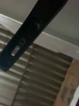 Emiily lee online show from February 4, 2025, 1:13 am