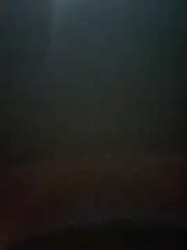 cumshotboy01 online show from December 16, 2024, 3:54 pm