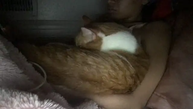 loveofbea online show from March 8, 2026, 3:32 am