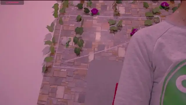 CrazyRousex online show from January 14, 2026, 2:23 pm