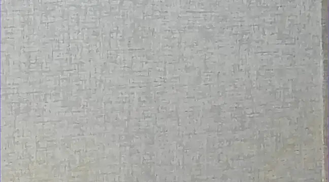 Ricardogo19 online show from March 22, 2025, 2:37 am