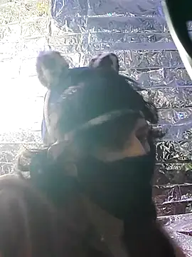 Snapshot of gurlnips chatting on March 22, 2025, 6:54 am gurlnips online show from March 22, 2025, 6:54 am