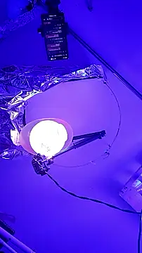 Snapshot of gurlnips chatting on September 26, 2025, 9:57 am gurlnips online show from September 26, 2025, 9:57 am