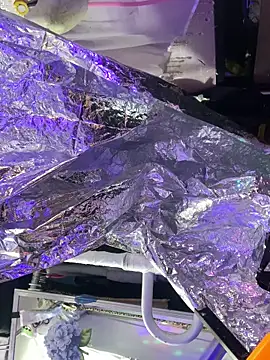 Snapshot of gurlnips chatting on October 8, 2025, 6:05 pm gurlnips online show from October 8, 2025, 6:05 pm