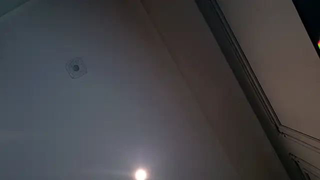 Liv Fay online show from December 28, 2024, 2:10 pm