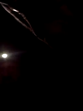 SInfiniSensation1 online show from April 23, 2026, 10:01 pm