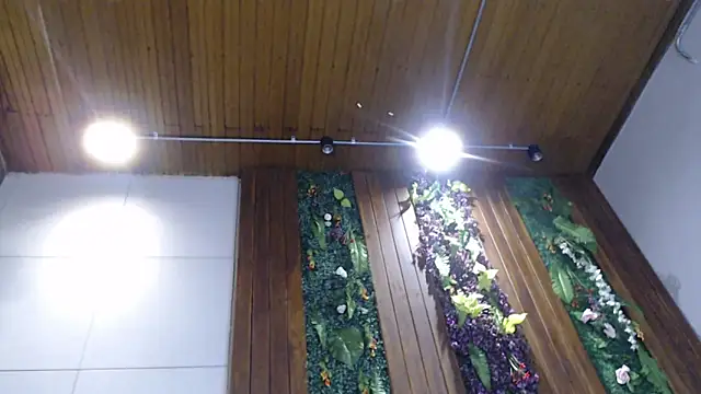 DrakeNeumann online show from February 5, 2025, 11:06 pm