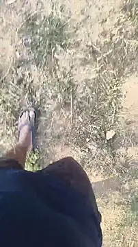 lustboyX online show from April 3, 2026, 2:31 am