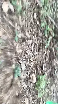 lustboyX online show from April 5, 2026, 9:39 am