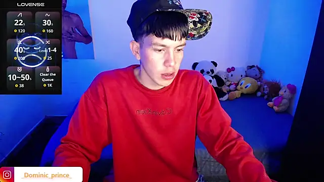 Snapshot of DominicPrince chatting on September 23, 2025, 7:11 am DominicPrince online show from September 23, 2025, 7:11 am