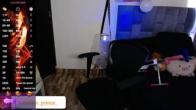 Snapshot of DominicPrince chatting on November 24, 2025, 7:02 pm DominicPrince online show from November 24, 2025, 7:02 pm