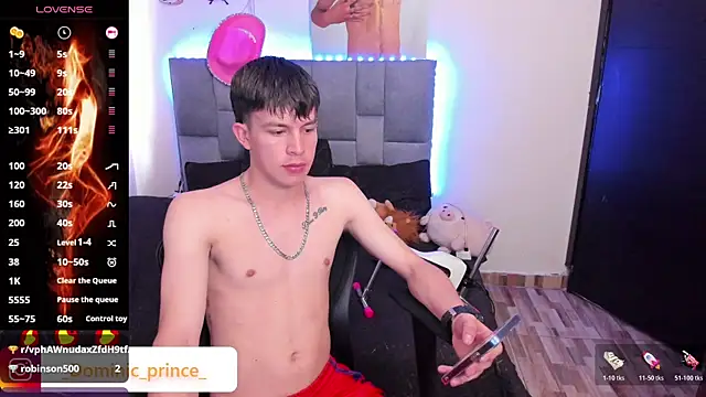 Snapshot of DominicPrince chatting on December 13, 2025, 8:58 pm DominicPrince online show from December 13, 2025, 8:58 pm