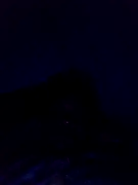 dotado20robson online show from April 22, 2026, 3:31 am