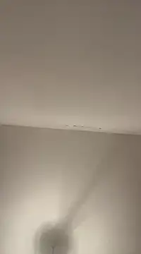 petan33 online show from December 18, 2024, 7:41 pm