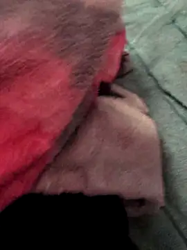 kumarisoni online show from December 5, 2025, 7:17 am