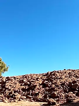 Snapshot of luke_thighwalker2469 chatting on January 13, 2025, 8:48 pm luke thighwalker2469 online show from January 13, 2025, 8:48 pm