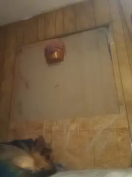 Snapshot of luke_thighwalker2469 chatting on February 15, 2025, 1:16 pm luke thighwalker2469 online show from February 15, 2025, 1:16 pm