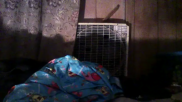 Snapshot of luke_thighwalker2469 chatting on December 2, 2025, 2:50 am luke thighwalker2469 online show from December 2, 2025, 2:50 am