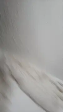 Siriss boyrag online show from November 22, 2025, 8:52 pm