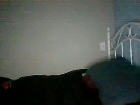 SmokingSloth online show from March 16, 2025, 11:27 am