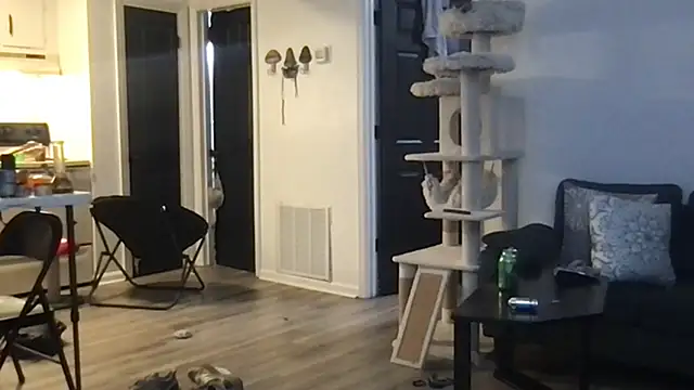 SpunCandy online show from October 1, 2025, 4:29 am