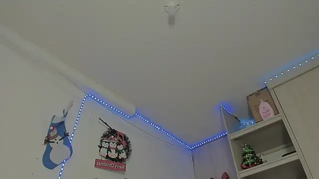 Snapshot of _diegsz_ chatting on December 31, 2024, 3:09 pm diegsz online show from December 31, 2024, 3:09 pm