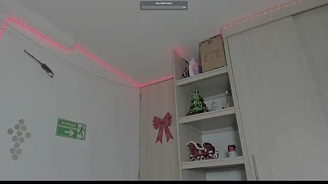 Snapshot of _diegsz_ chatting on January 10, 2025, 9:55 am diegsz online show from January 10, 2025, 9:55 am