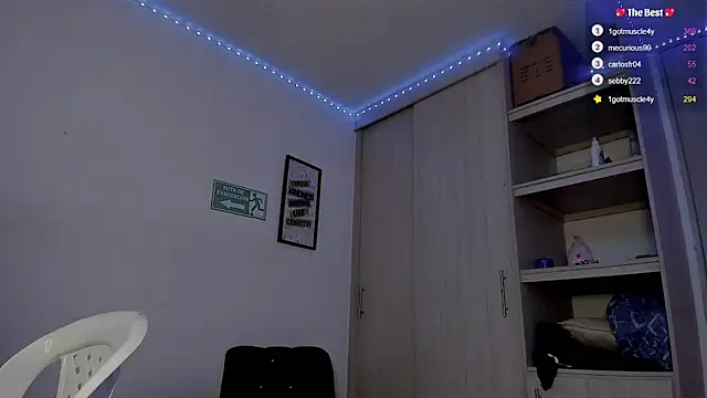 Snapshot of _diegsz_ chatting on February 9, 2025, 8:13 pm diegsz online show from February 9, 2025, 8:13 pm