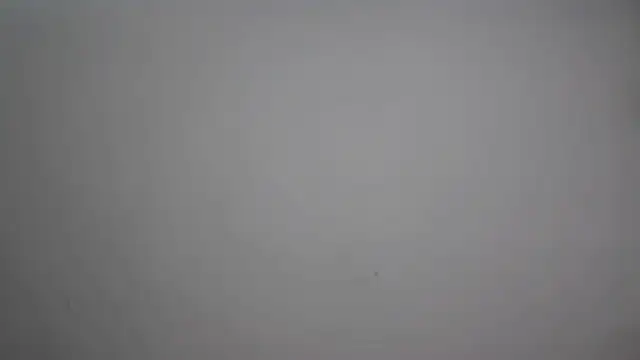 Cute-Tanya online show from February 10, 2026, 1:59 pm