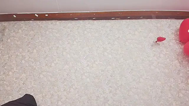 Snapshot of nicol_f chatting on February 15, 2025, 7:17 pm nicol f online show from February 15, 2025, 7:17 pm