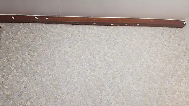 Snapshot of nicol_f chatting on March 5, 2025, 1:31 am nicol f online show from March 5, 2025, 1:31 am