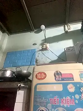 Ly Coca24 online show from October 30, 2025, 5:31 am