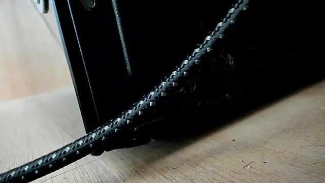 evely coelloo online show from December 12, 2024, 5:48 pm