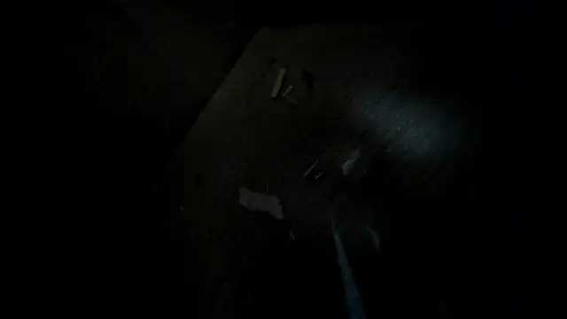 evely coelloo online show from February 2, 2026, 1:59 am