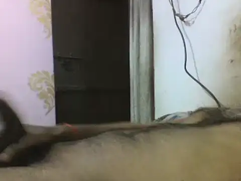 Desi GfBf online show from March 3, 2025, 5:50 pm