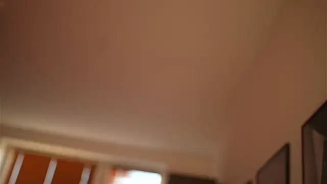 Bellis Perenis online show from December 28, 2024, 8:37 am