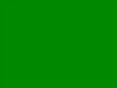 WH778899 online show from May 16, 2026, 9:39 am