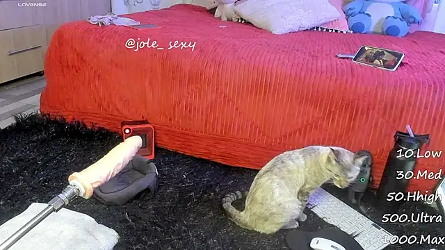 jolee   online show from January 10, 2025, 6:31 am