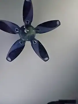 honeymex online show from September 18, 2025, 10:56 pm