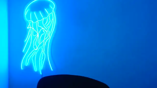 Fantasy July online show from March 17, 2025, 9:33 am