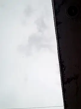 Professor Leo  online show from February 16, 2025, 11:05 pm