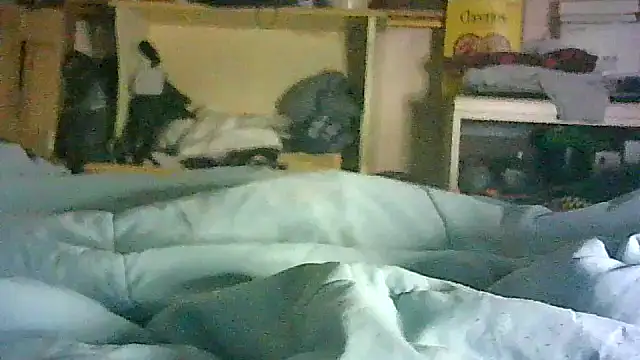 Snapshot of DI4MOND_FIR3 chatting on July 16, 2026, 11:49 am DI4MOND FIR3 online show from July 16, 2026, 11:49 am