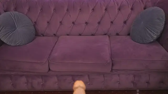 Daisy Delight online show from March 4, 2025, 4:27 am