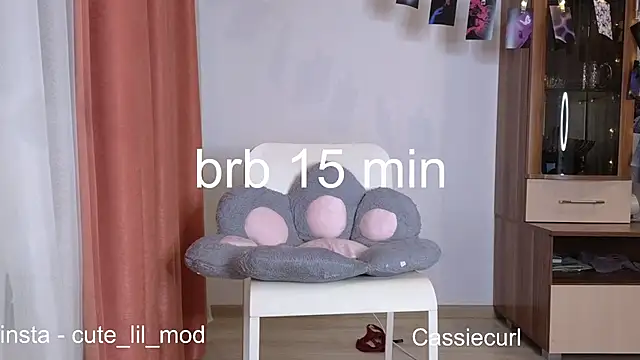 Snapshot of art_phoenix chatting on December 1, 2024, 7:36 pm art phoenix online show from December 1, 2024, 7:36 pm