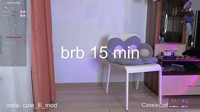 Snapshot of art_phoenix chatting on February 28, 2025, 8:07 pm art phoenix online show from February 28, 2025, 8:07 pm